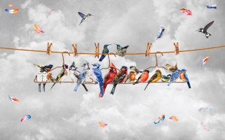 Фотообои 2 Детские, арт. 30329