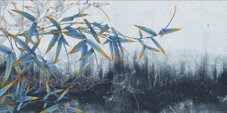 Фотообои 2 Дизайнерские листья, арт. 30995