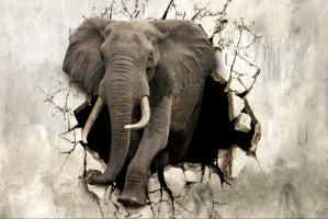 Фотообои 2 3D, арт. 15979