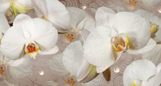 Фотообои 2 3D, арт. 17639