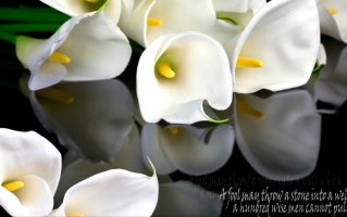 Фотообои 2 3D, арт. 17871