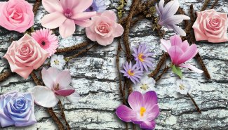 Фотообои 2 3D, арт. 18611