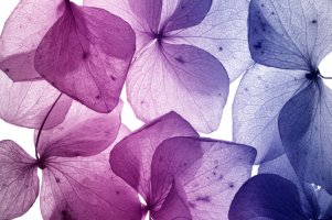 Фотообои 2 3D, арт. 18639