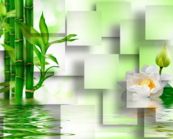 Фотообои 2 3D, арт. 19624