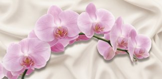 Фотообои 2 3D, арт. 19910