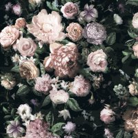 Фотообои 2 3D, арт. 19918