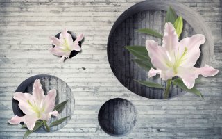 Фотообои 2 3D, арт. 20082