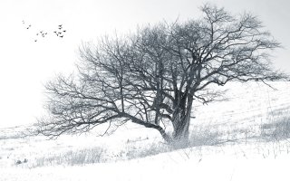 Фотообои 2 3D, арт. 29195