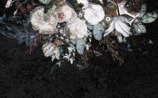 Фотообои 2 Дизайнерские цветы, арт. 23825