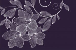 Фотообои 2 Дизайнерские цветы, арт. 23877