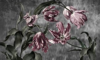 Фотообои 2 Дизайнерские цветы, арт. 24027