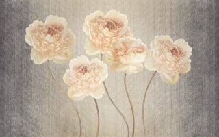 Фотообои 2 Дизайнерские цветы, арт. 24990