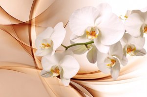 Фотообои 2 Дизайнерские цветы, арт. 30031