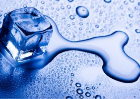 Фотообои 2 Еда и напитки, арт. 10005