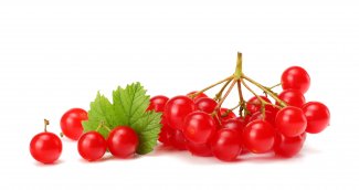 Фотообои 2 Еда и напитки, арт. 21529