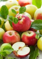 Фотообои 2 Еда и напитки, арт. 2762