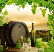 Фотообои 2 Еда и напитки, арт. 2856