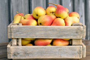 Фотообои 2 Еда и напитки, арт. 7009