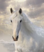 Фотообои 2 Животные, арт. 8715