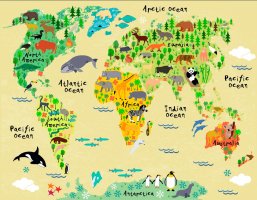 Фотообои 2 Карты, арт. 23345