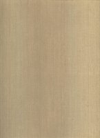 Обои BN, колл. Dutch Masters арт. 17833