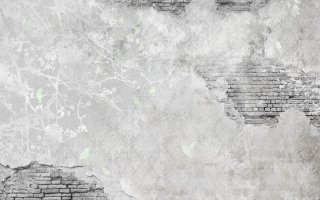 Фотообои 2 Лофт, арт. 23005