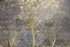 Фотообои 2 Лофт, арт. 23930