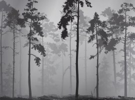 Фотообои 2 Лофт, арт. 26002