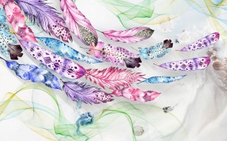 Фотообои 2 Перья, арт. 23761