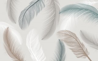 Фотообои 2 Перья, арт. 25920