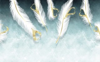 Фотообои 2 Перья, арт. 28592