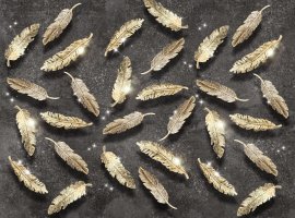 Фотообои 2 Перья, арт. 28964