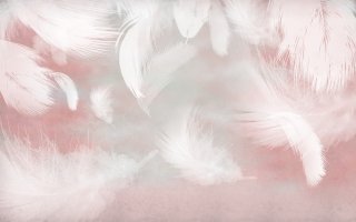 Фотообои 2 Перья, арт. 29283