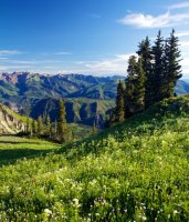 Фотообои 2 Природа, арт. 10090