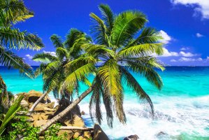 Фотообои 2 Природа, арт. 20854