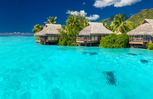 Фотообои 2 Природа, арт. 20881