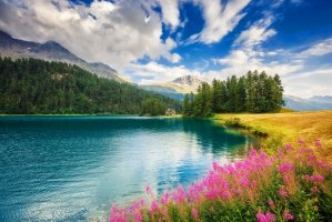 Фотообои 2 Природа, арт. 21045