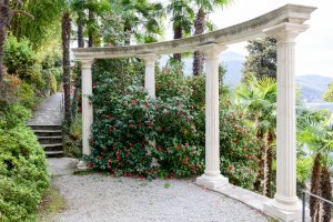 Фотообои 2 Природа, арт. 21066