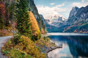 Фотообои 2 Природа, арт. 22837