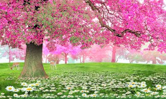 Фотообои 2 Природа, арт. 22916