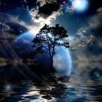 Фотообои 2 Природа, арт. 23227