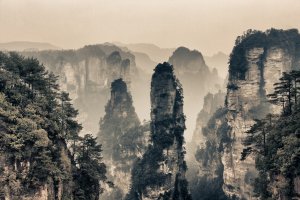 Фотообои 2 Природа, арт. 23249