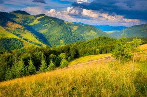 Фотообои 2 Природа, арт. 23350