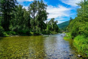 Фотообои 2 Природа, арт. 24866