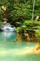 Фотообои 2 Природа, арт. 25031