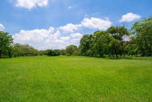 Фотообои 2 Природа, арт. 25569