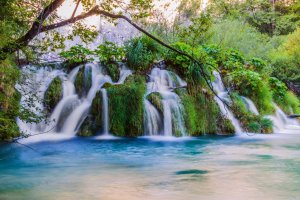 Фотообои 2 Природа, арт. 25592