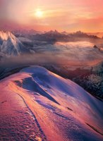 Фотообои 2 Природа, арт. 25656