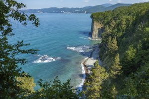 Фотообои 2 Природа, арт. 25761