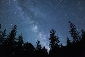 Фотообои 2 Природа, арт. 25959